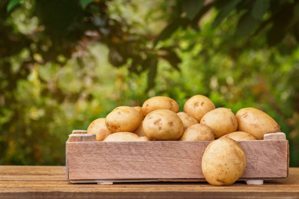 istock potatoes in wooden crate 842431246