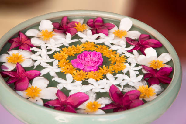 istock Plumeria flowers are refreshing 842431618