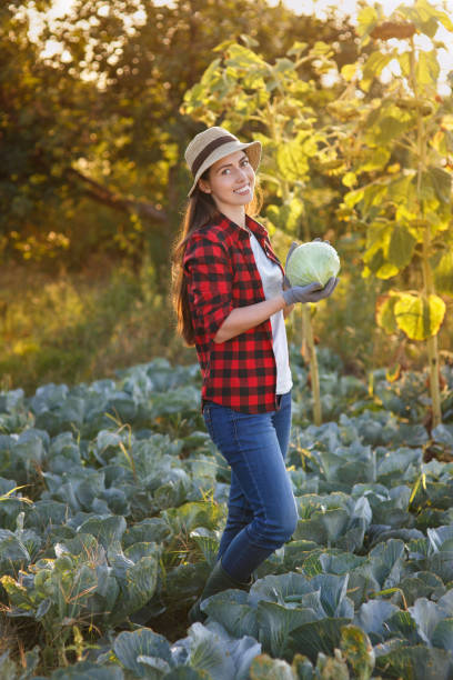 istock Happy woman gardener with cabbage 842432114