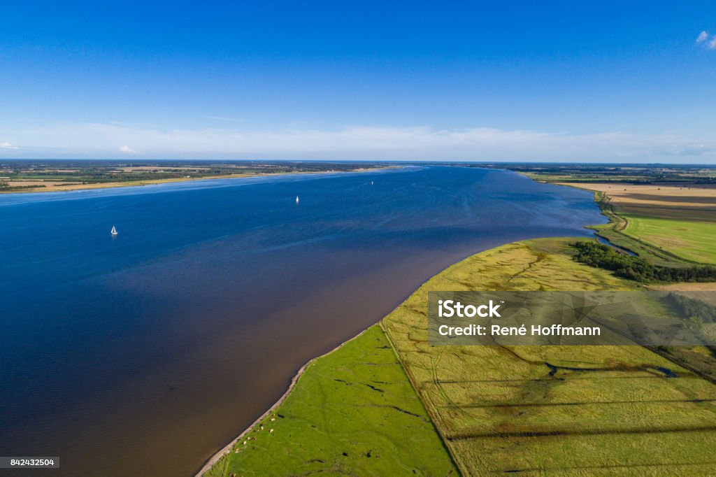 horses and gulls on a summer day with a blue skye Shoreline of limfjord and green fields with horses and gulls on a summer day with a blue skye Aalborg Stock Photo