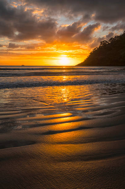 istock Cape Tribulation At Dawn, North Queensland Australia 842432630