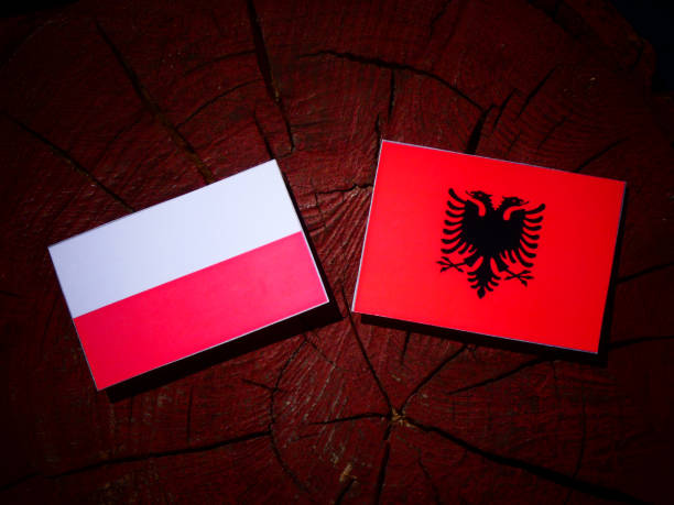 istock Polish flag with Albanian flag on a tree stump isolated 842434312