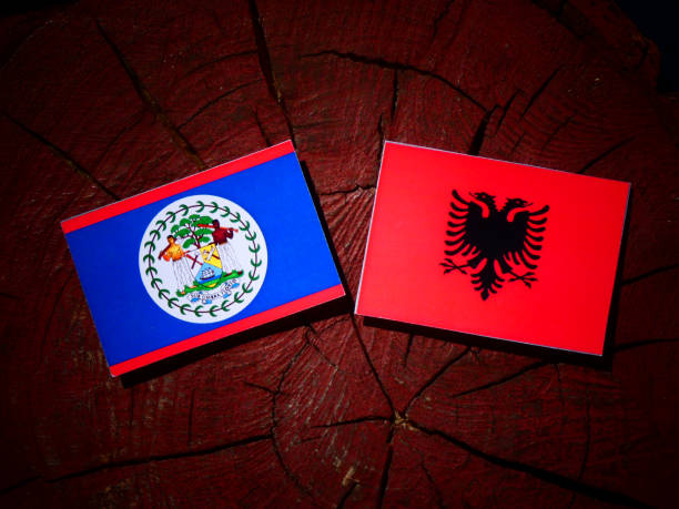 флаг белиза с албанским флагом на пеньке изолирован - flag of belize стоковые фото и изображения