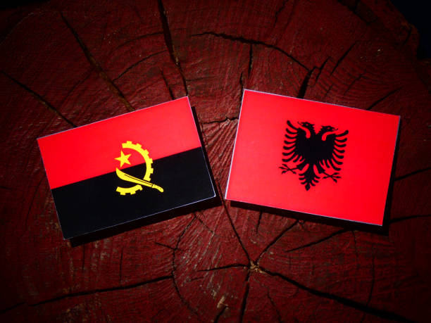 istock Angolan flag with Albanian flag on a tree stump isolated 842435294