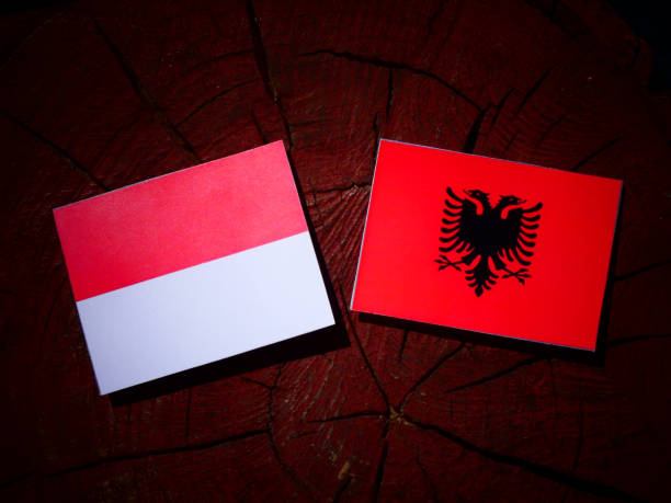 istock Monaco flag with Albanian flag on a tree stump isolated 842435656
