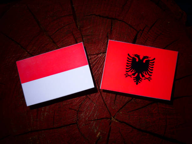 istock Indonesian flag with Albanian flag on a tree stump isolated 842436210