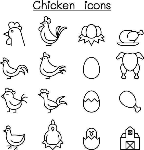 illustrations, cliparts, dessins animés et icônes de jeu d’icônes de poulet dans le style de ligne fine - protein isolated shell food