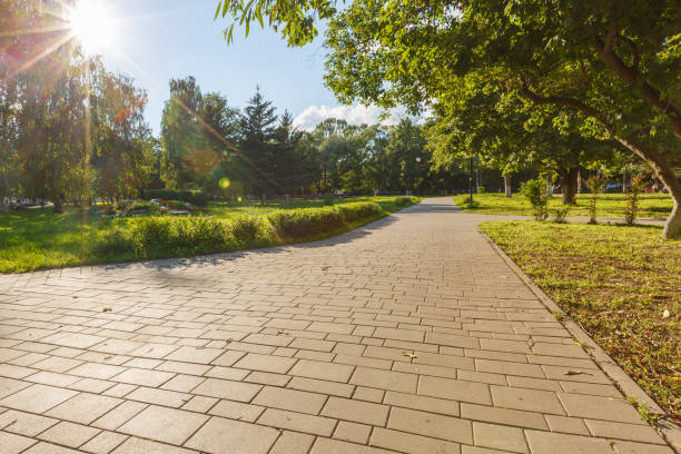 istock paved with tiles path in the Park 842439016