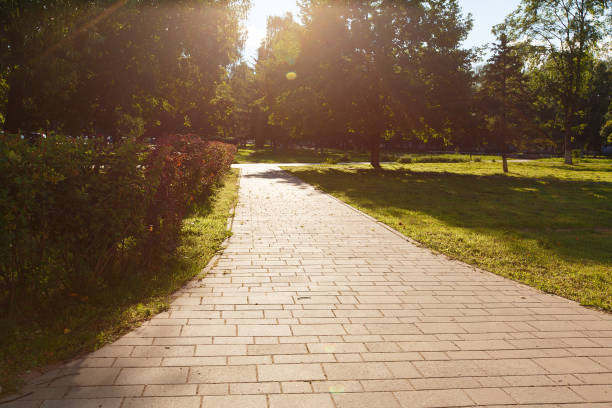 istock paved with tiles path in the Park 842439206