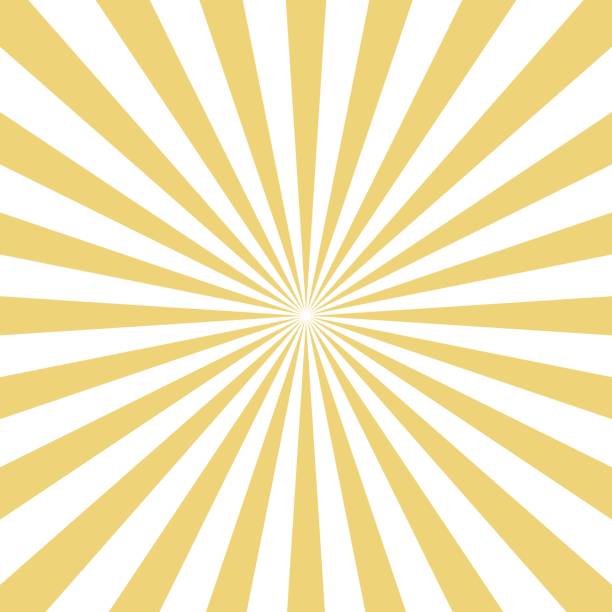 radiale gelbe sonne platzen balken auf weißem hintergrund. vektor. - sun stock-grafiken, -clipart, -cartoons und -symbole