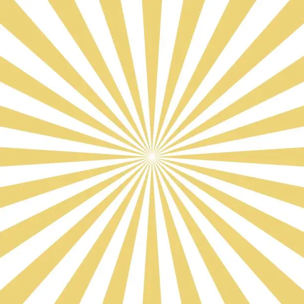 Vector illustration of Radial yellow sun burst beams on white background. Vector .