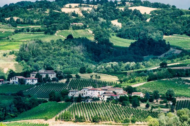 istock Oltrepo Pavese (Italy), rural landscape at summer 842442598