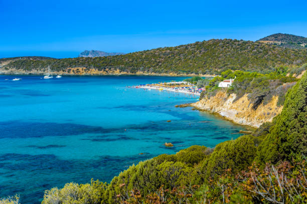 istock Tuarredda beach in south sardinia 842442818