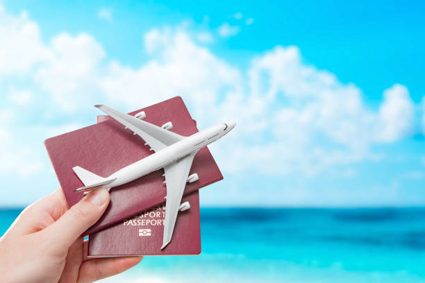 istock passport flight fly travelling travel citizenship concept 842443226