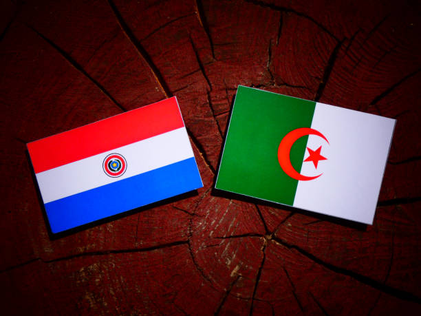 istock Paraguay flag with Algerian flag on a tree stump isolated 842443370