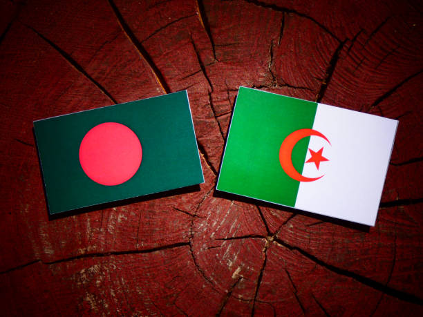 istock Bangladesh flag with Algerian flag on a tree stump isolated 842443700