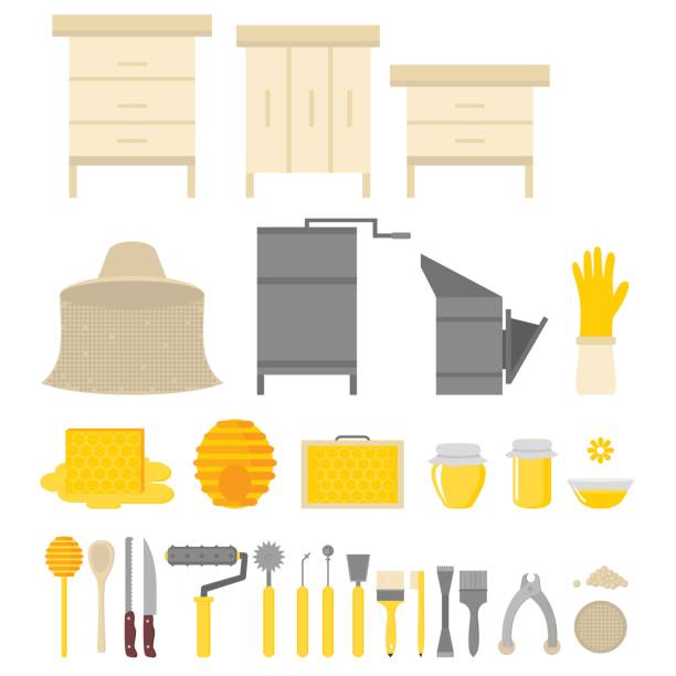 Flat design elements of Beekeeping and apiculture. Beekeeper Tools and equipment set. Apiary Instrument isolated. Beehive and Honeycomb. Honey in jar Flat design elements of Beekeeping and apiculture. Beekeeper Tools and equipment set. Apiary Instrument isolated. Beehive and Honeycomb. Honey in jar. hiver stock illustrations