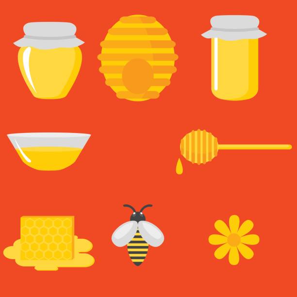 Flat design elements of Beekeeping and apiculture. Beekeeper Tools and equipment set. Apiary Instrument isolated. Natural organic Honey in jar. Flat design elements of Beekeeping and apiculture. Beekeeper Tools and equipment set. Apiary Instrument isolated. Natural organic Honey in jar hiver stock illustrations