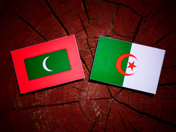 istock Maldives flag with Algerian flag on a tree stump isolated 842444226