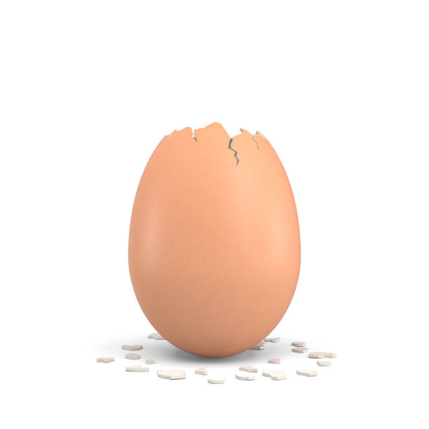 istock 3d rendering of an empty and cracked chicken on top egg with a brown shell on white background 842444930