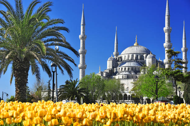 istock Sultan Ahmed Mosque or Blue Mosque in Istanbul, Turkey 842445446