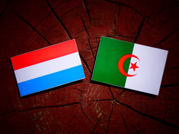 istock Luxembourg flag with Algerian flag on a tree stump isolated 842446316