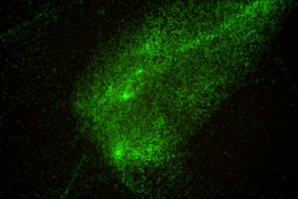 istock Abstract background made of green glowing particles 842446652