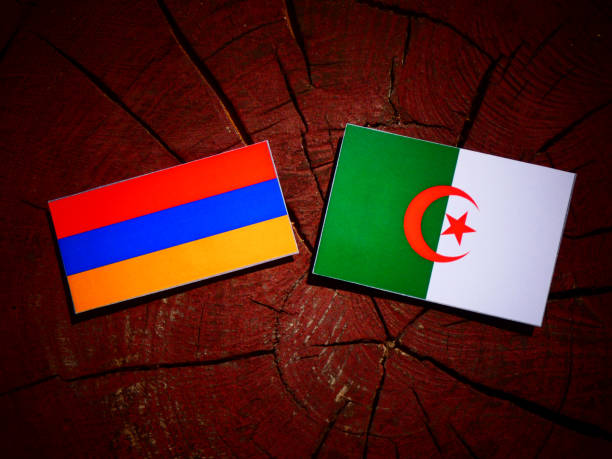 istock Armenian flag with Algerian flag on a tree stump isolated 842446900