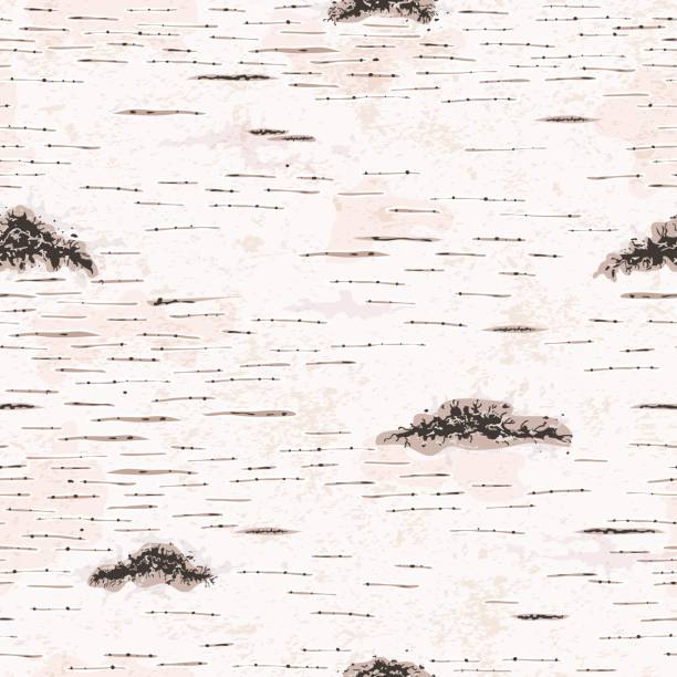 버치 나무껍질 애니메이션 - birch bark birch tree textured stock illustrations