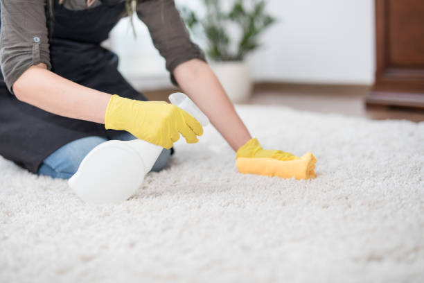 Housewife cleaning carpet. stock photo