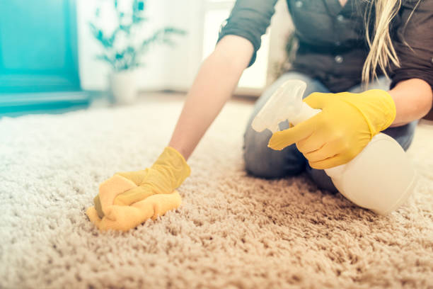 istock Housewife cleaning carpet. 842448978
