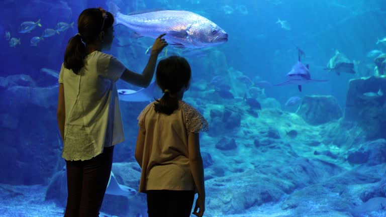 Kids looking at fish in a huge aquarium