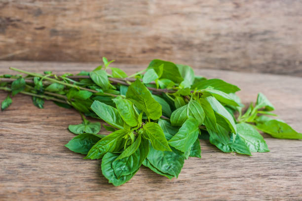 istock bunch of fresh organic basil on rustic wooden background 842454034