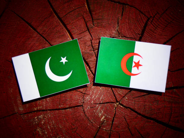 istock Pakistan flag with Algerian flag on a tree stump isolated 842454616