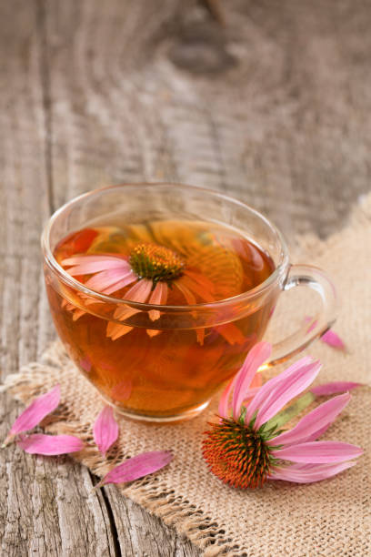 istock Cup of echinacea tea on old wooden table 842458996