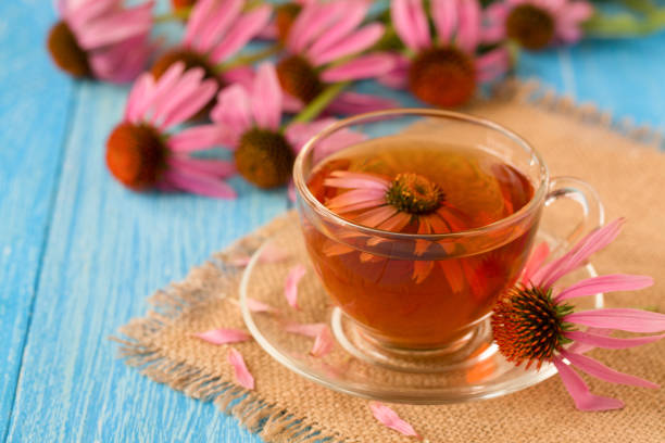 istock Cup of echinacea tea on blue wooden table 842459306