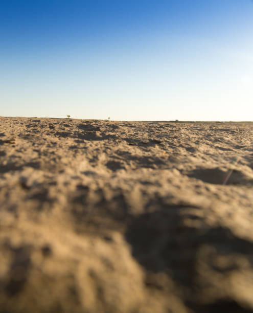 Landscape with sand in the desert as a background .