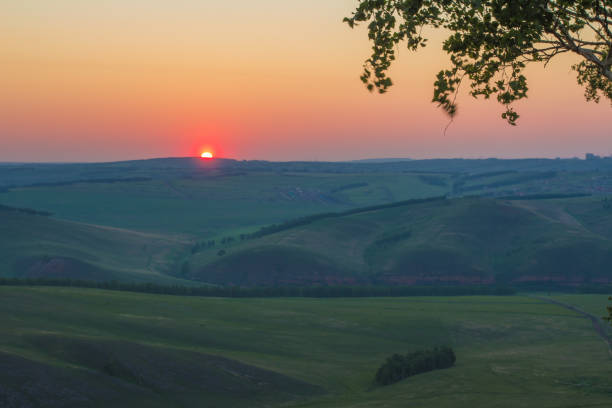 A lone tree stands tall on a vast agricultural field, its leaves softly silhouetted against the glowing horizon at sunset, embodying tranquility in the rural landscape.