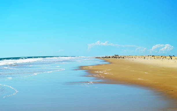 istock Coast of Morondava Madagascar 842465634