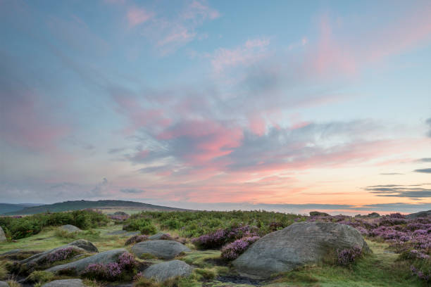 istock Stunning dawn sunrise landscape image of heather on Higger Tor in Summer in Peak District England 842465644