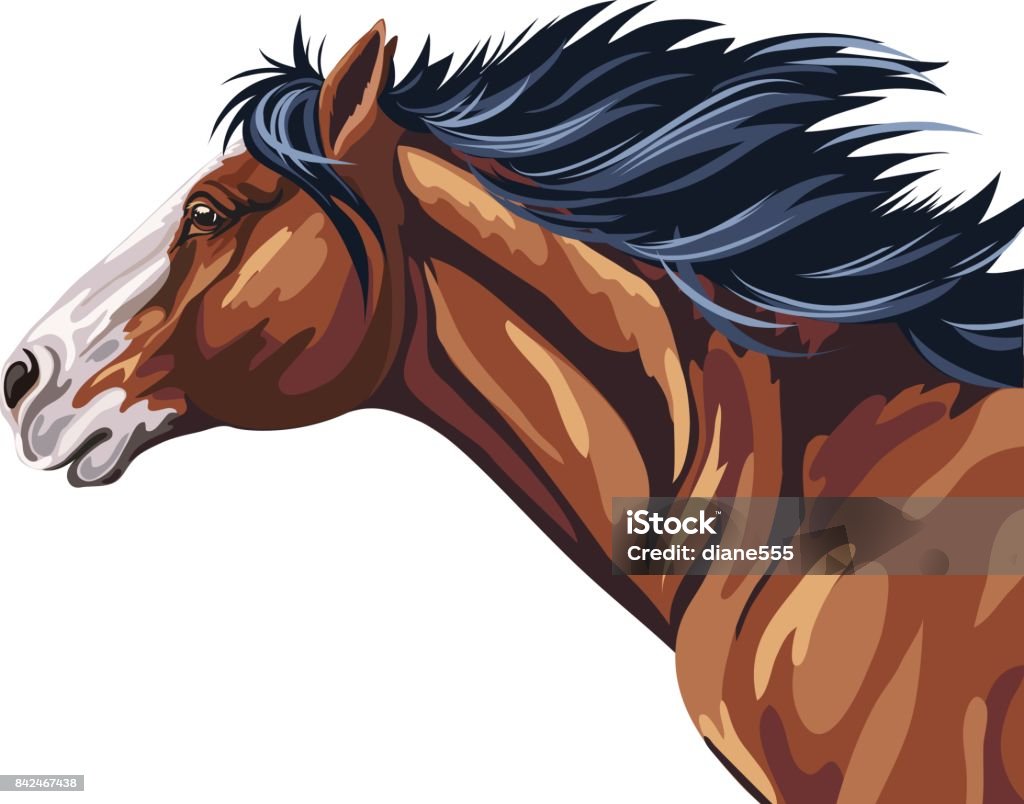 Wild Horse Running Horse stock vector