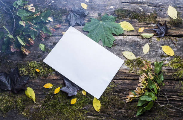 istock old wooden table with autumn leaves top view 842469556