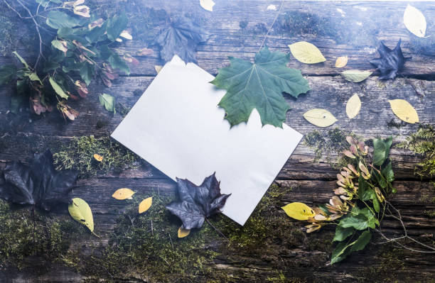 istock old wooden table with autumn leaves top view 842469562