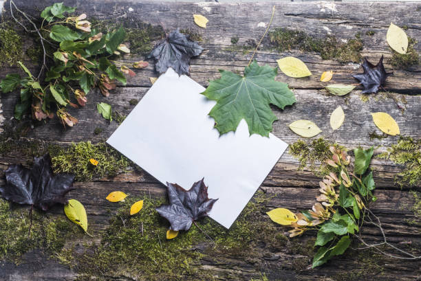 istock old wooden table with autumn leaves top view 842469606