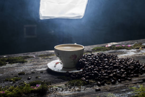 A cup of coffee collection, take photography in public park at Chiang Rai, Thailand.