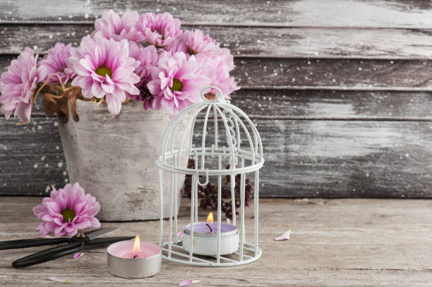 istock Pink chrysanthemum in concrete pot with scissors 842471060