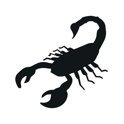 Scorpion icon, Scorpion silhouette seafood shop label, isolated vector sign symbol.