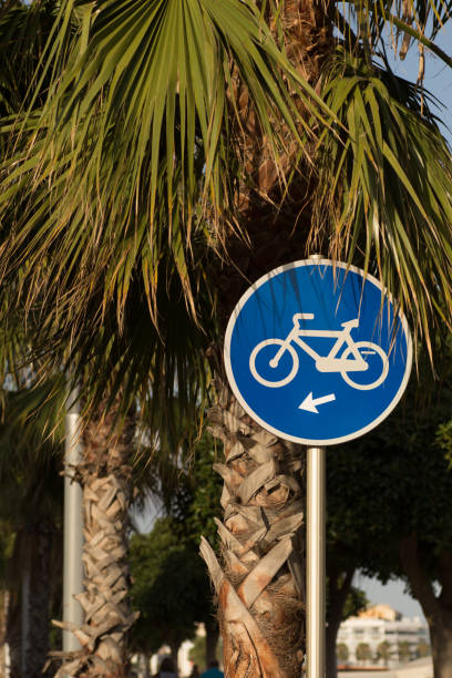 istock Blue bicycle sign behind palm trees against blue sky at sunny daylight 842477898