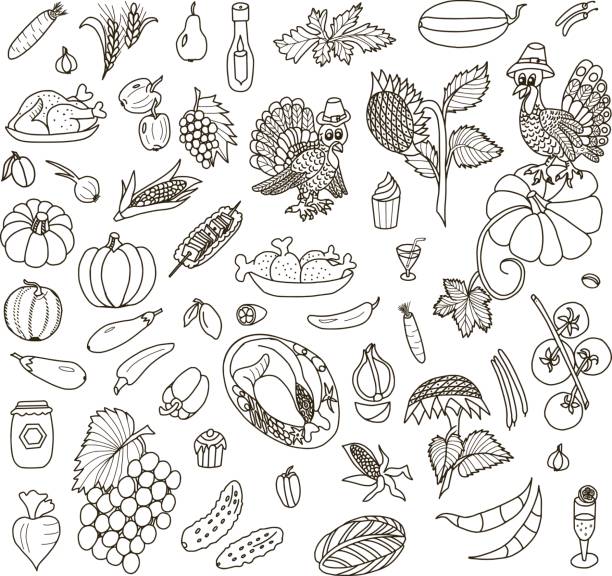 illustrations, cliparts, dessins animés et icônes de thanksgiving doodles - fruit drawing watermelon pencil drawing
