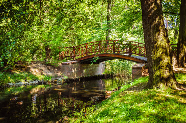 istock Small wodden bridge over the river in park 842484410